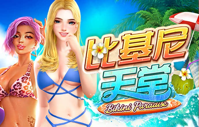 新澳内部资料精准大全
